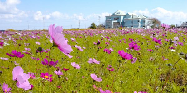 ヴィラ羽ノ浦｜徳島県阿南市羽ノ浦町
