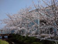 外観｜春は桜