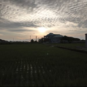 朝焼け｜特養