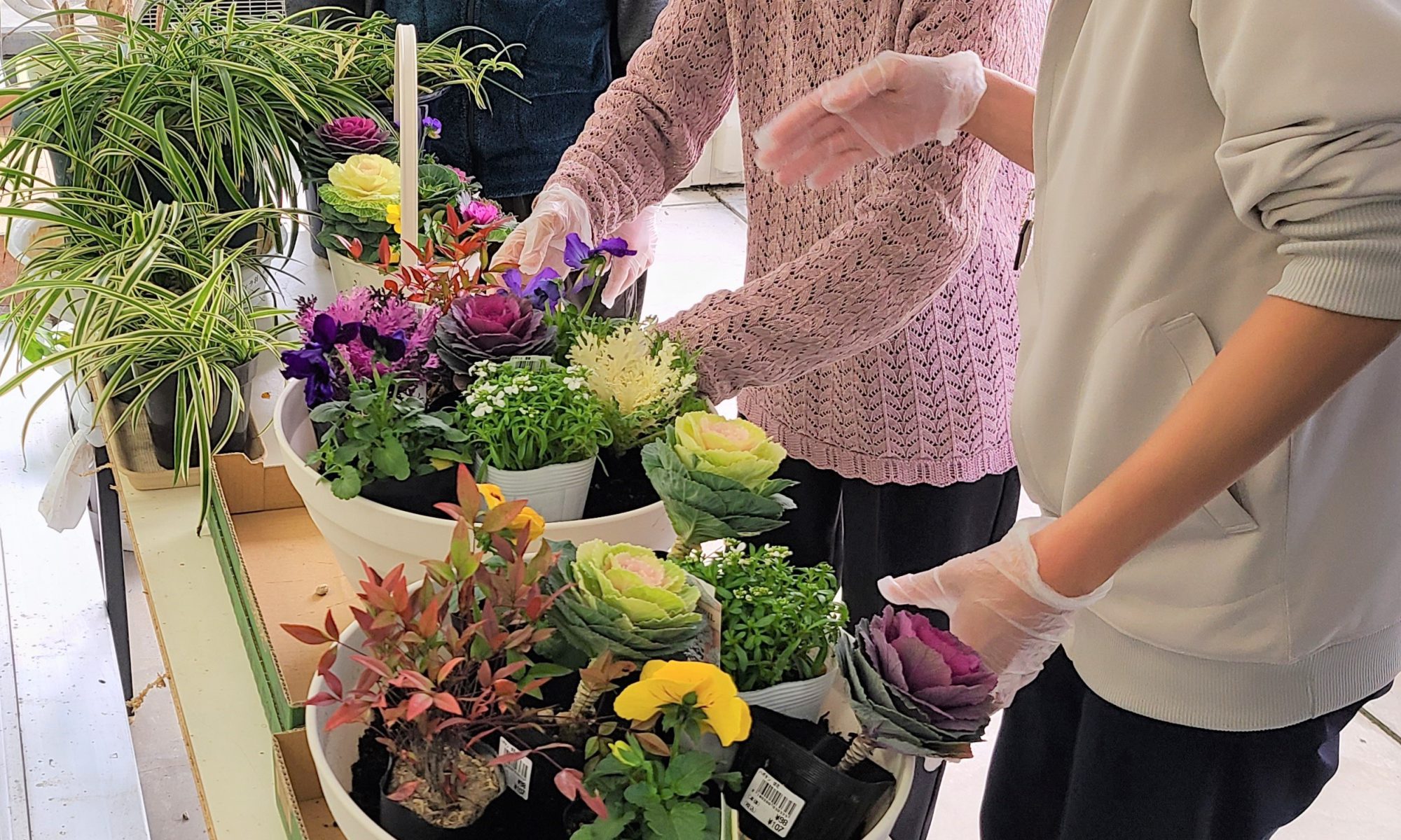寄せ植え｜デイサービス