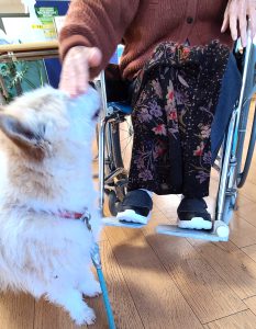 犬とふれあう特養　