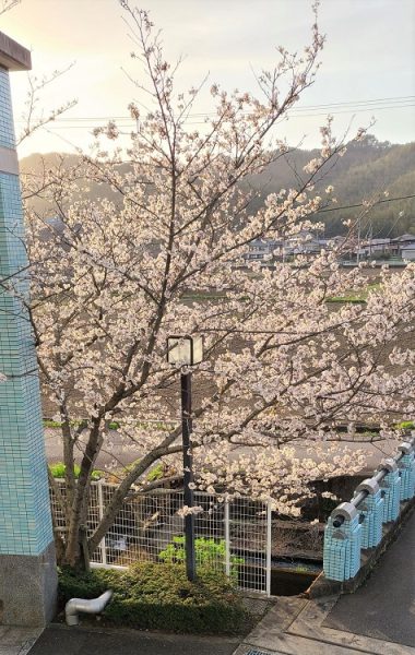デイサービス｜ヴィラ羽ノ浦｜徳島市｜阿南市｜小松島市