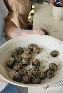 ヴィラ羽ノ浦｜徳島県阿南市羽ノ浦町